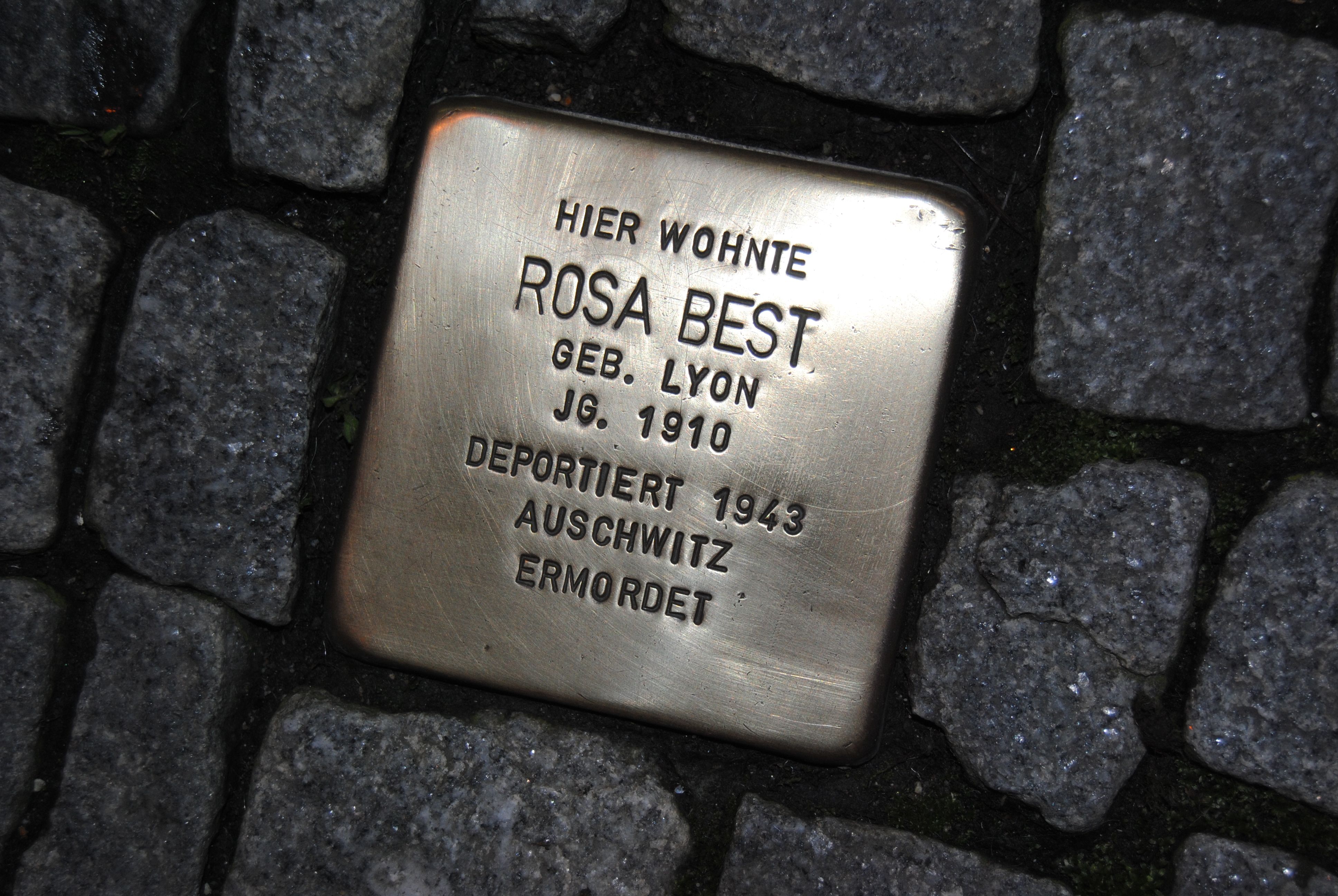 Stolpersteine 07 Hessencam   Stolpersteine – 07 